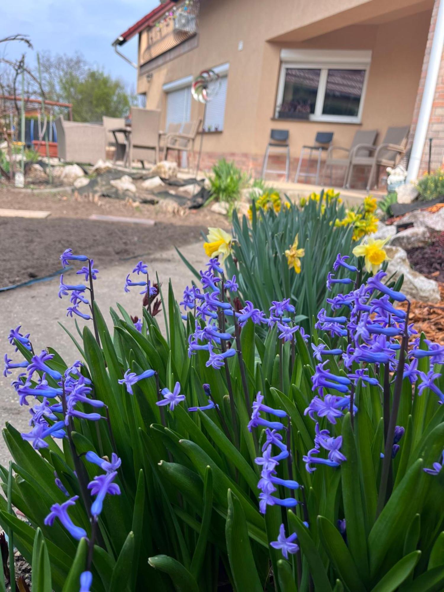 Garden Villa Будапеща Екстериор снимка