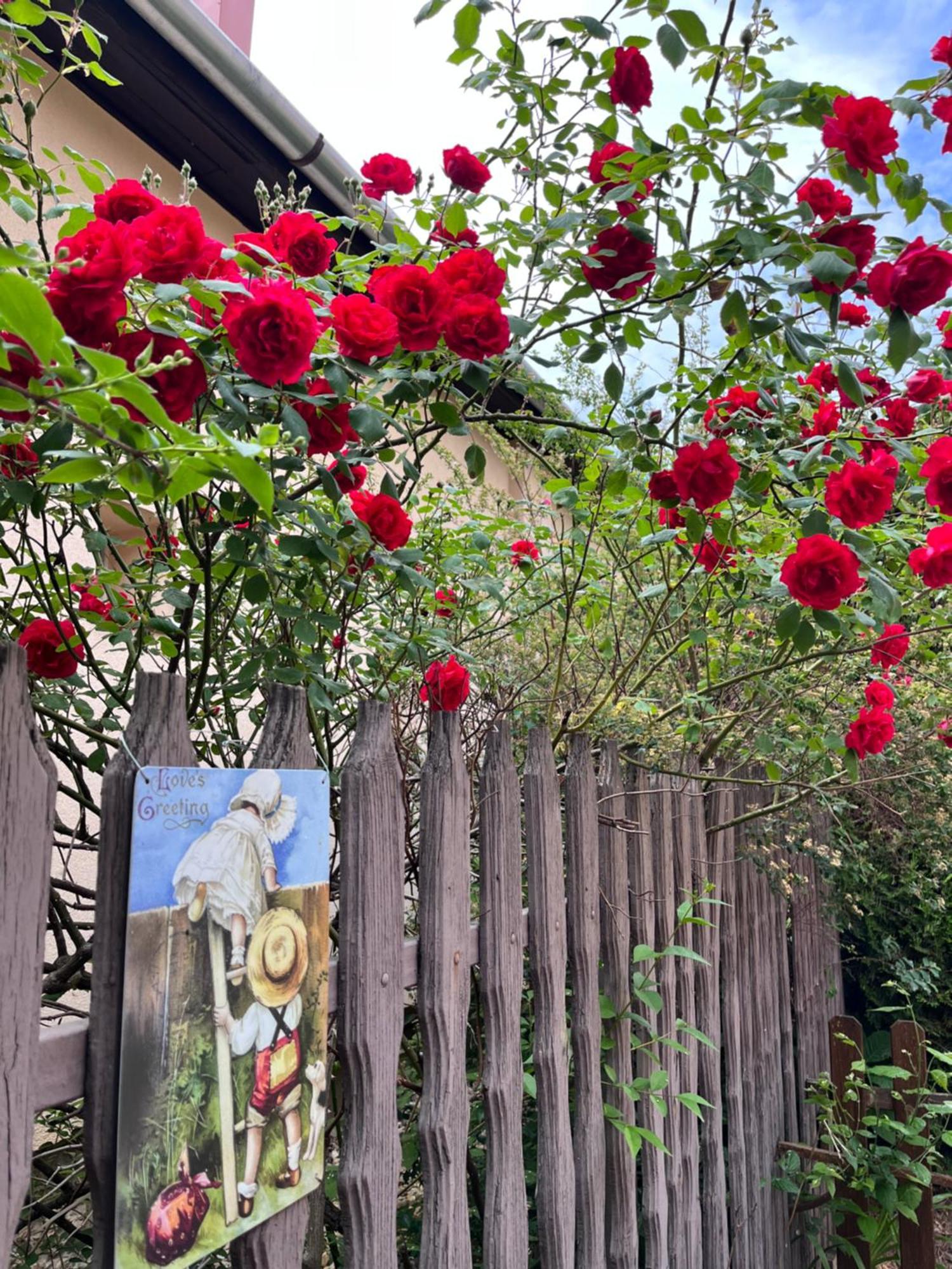 Garden Villa Будапеща Екстериор снимка